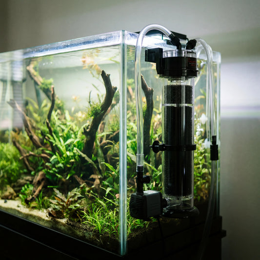 AQUATOP MR-30 Media Reactor beside home aquarium