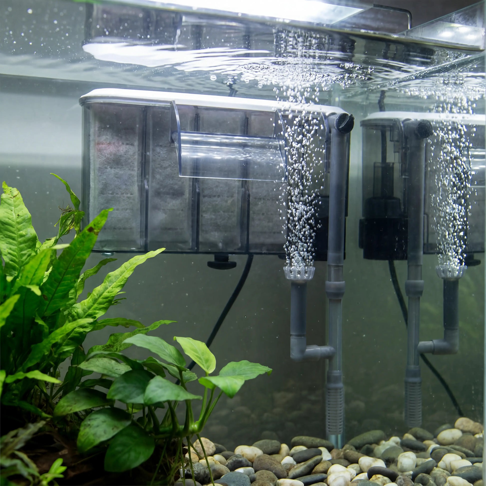 Aquarium Water Pump with oxygenation inside freshwater tank